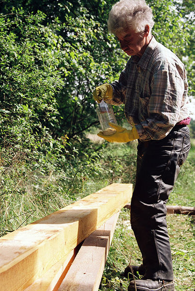 Datei:Barbara Uebel 2006 800px.jpg