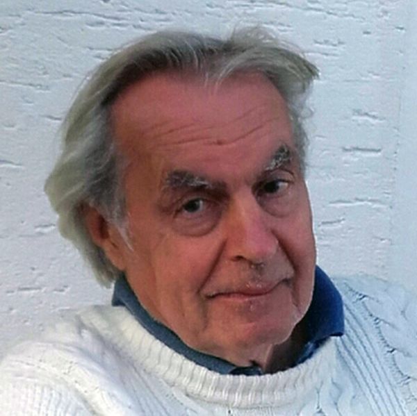 Datei:Roel van Duijn 2020.jpg